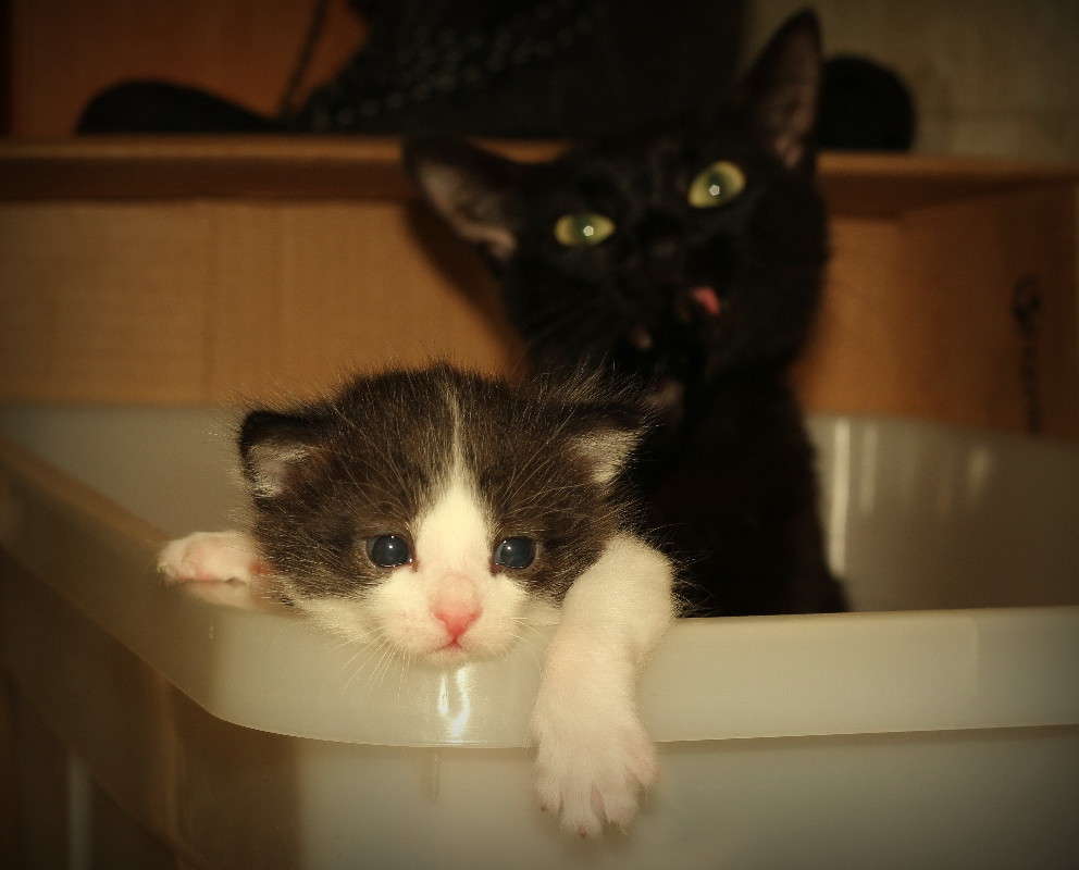 ���� �� �������... ����� �������  �� PhotoGeek.ru #�������� ���