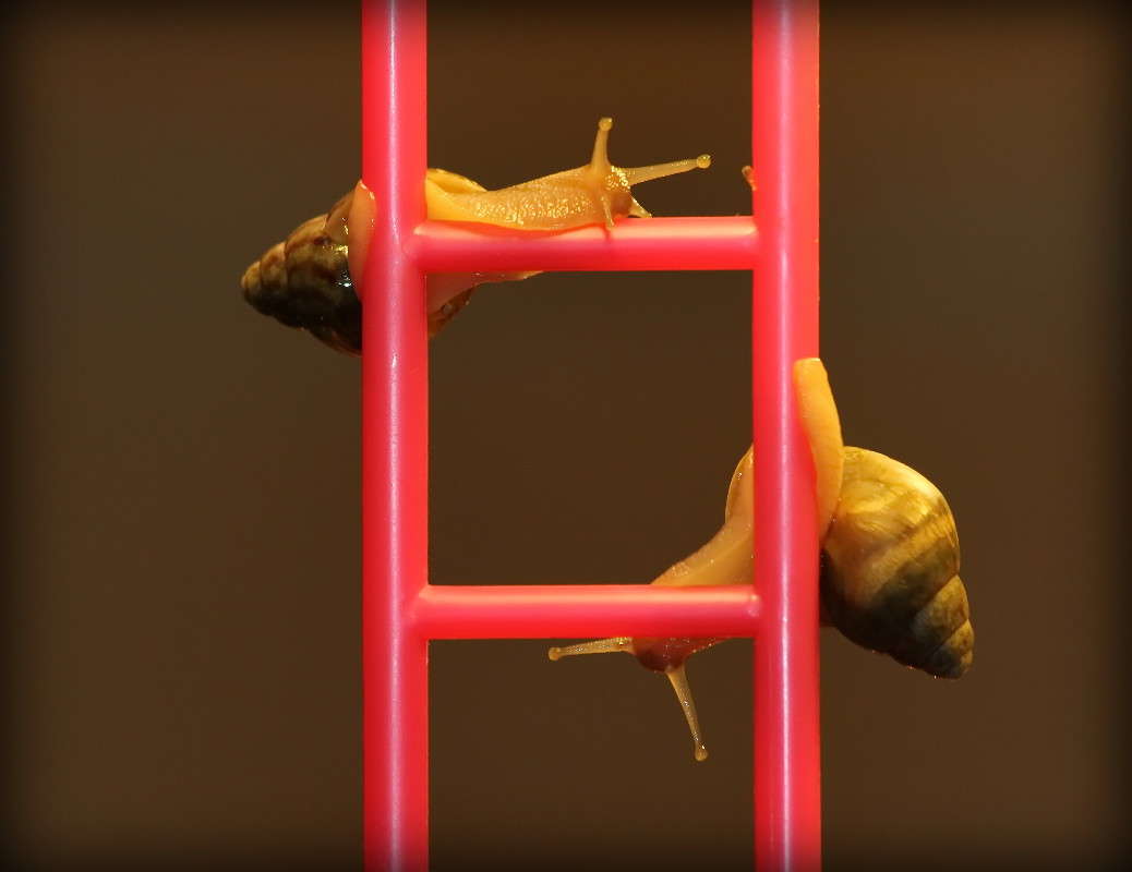 ... ����� �������  �� PhotoGeek.ru #�������� ���