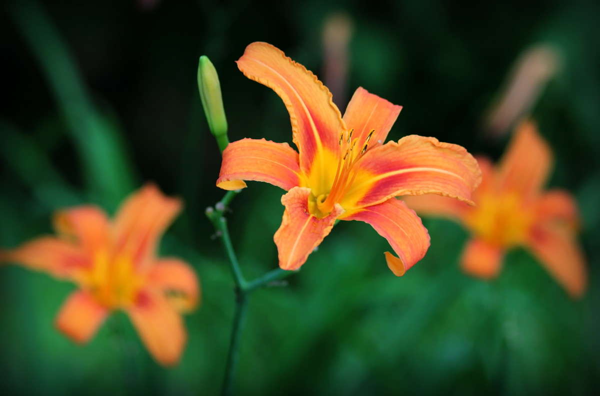 �������� ����� �������  �� PhotoGeek.ru #����� ��������������