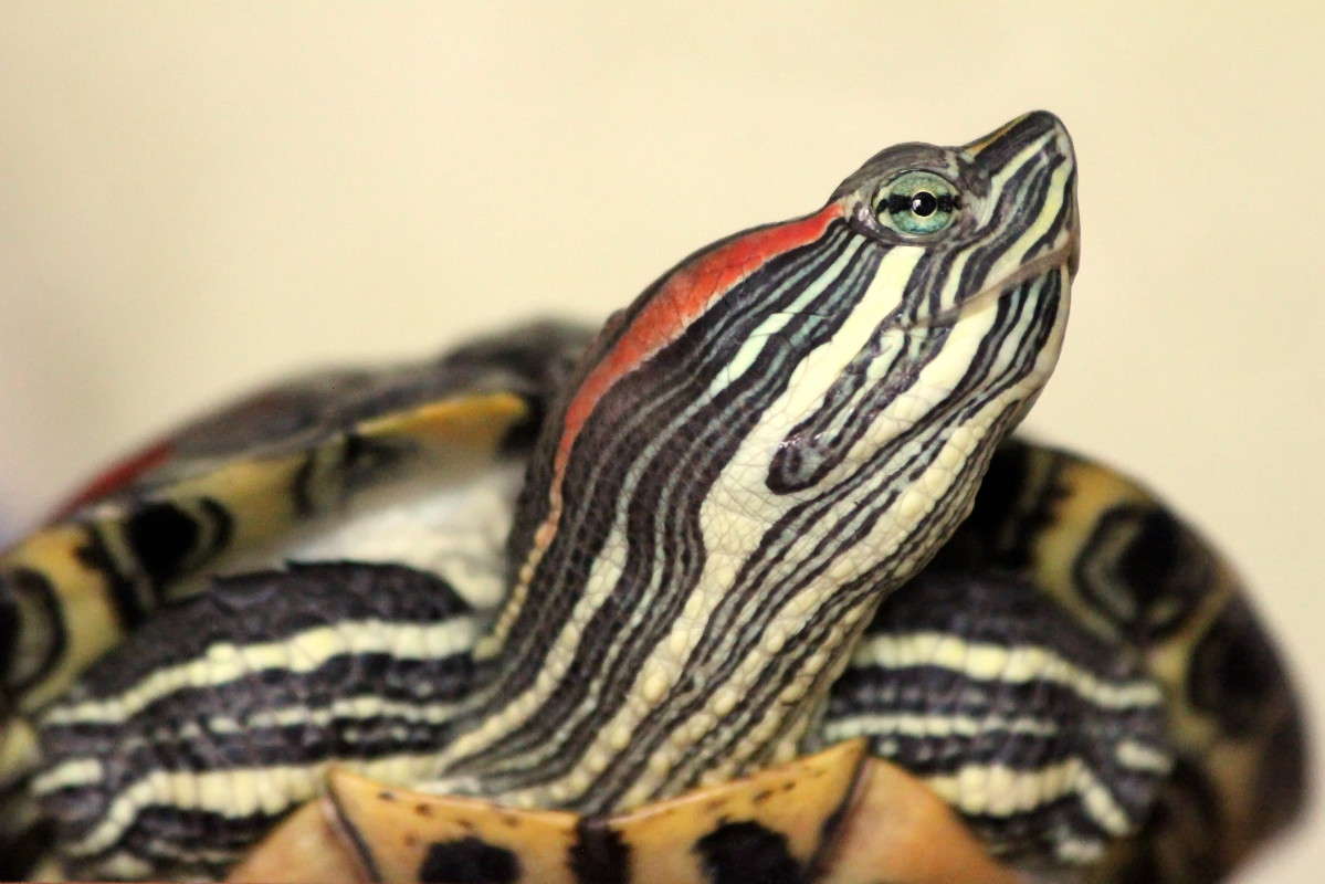 ���� ����� �������  �� PhotoGeek.ru #�������� ���