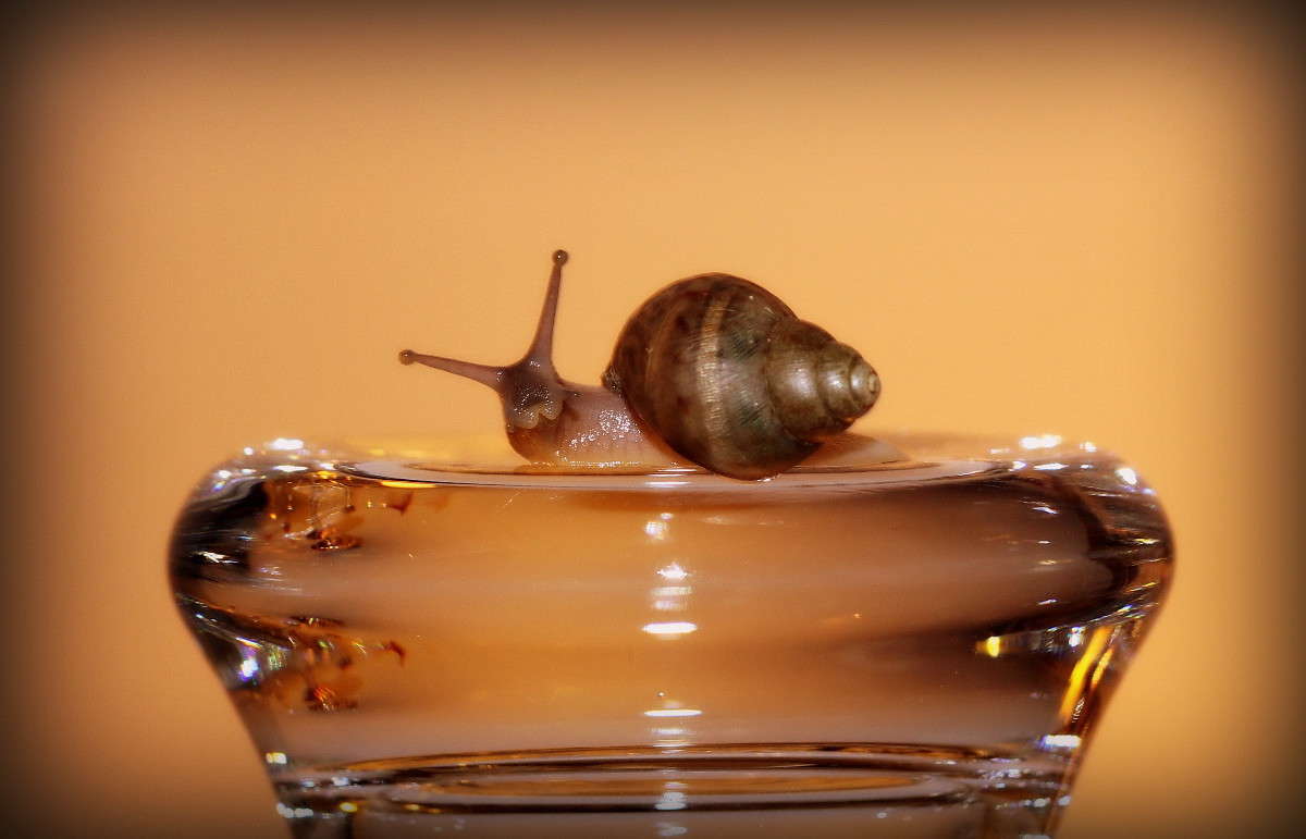 ... ����� �������  �� PhotoGeek.ru #�����