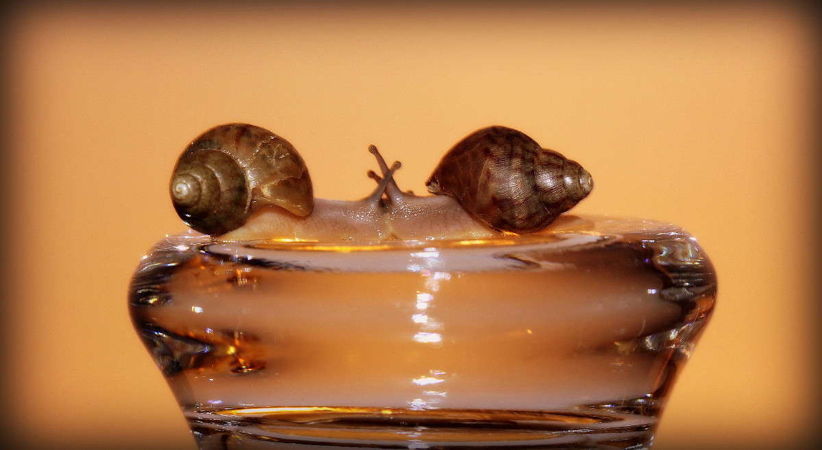 ����-����)) ����� �������  �� PhotoGeek.ru #�����