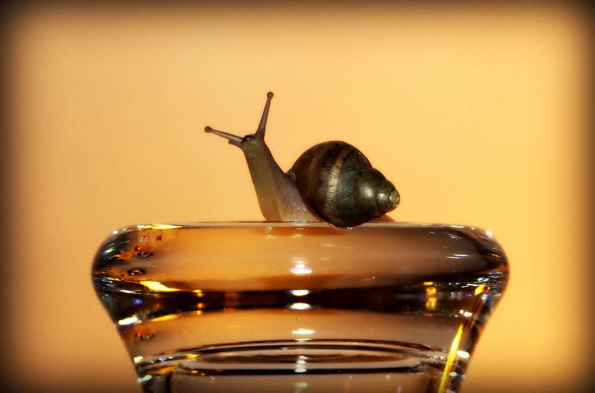 ... ����� �������  �� PhotoGeek.ru #�������� ���