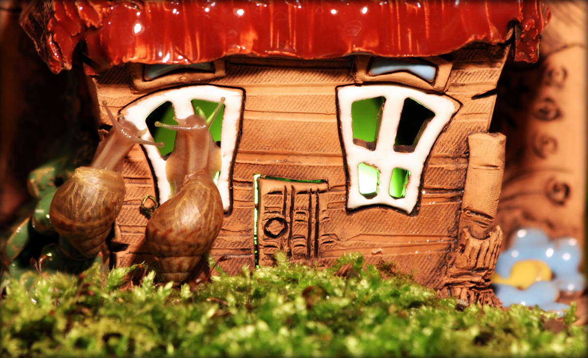 ���,��� � ��������� ����??? ����� �������  �� PhotoGeek.ru #�����