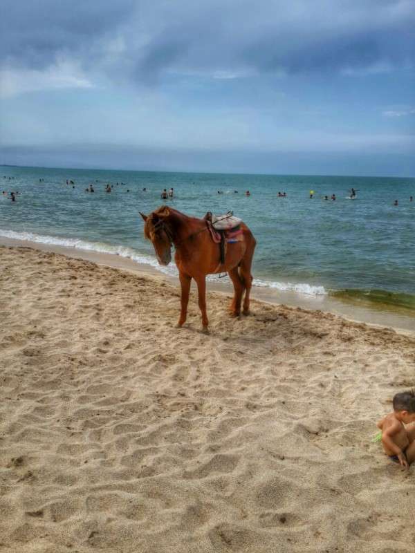 ... ����� ����� ������ �� PhotoGeek.ru #�������� ���