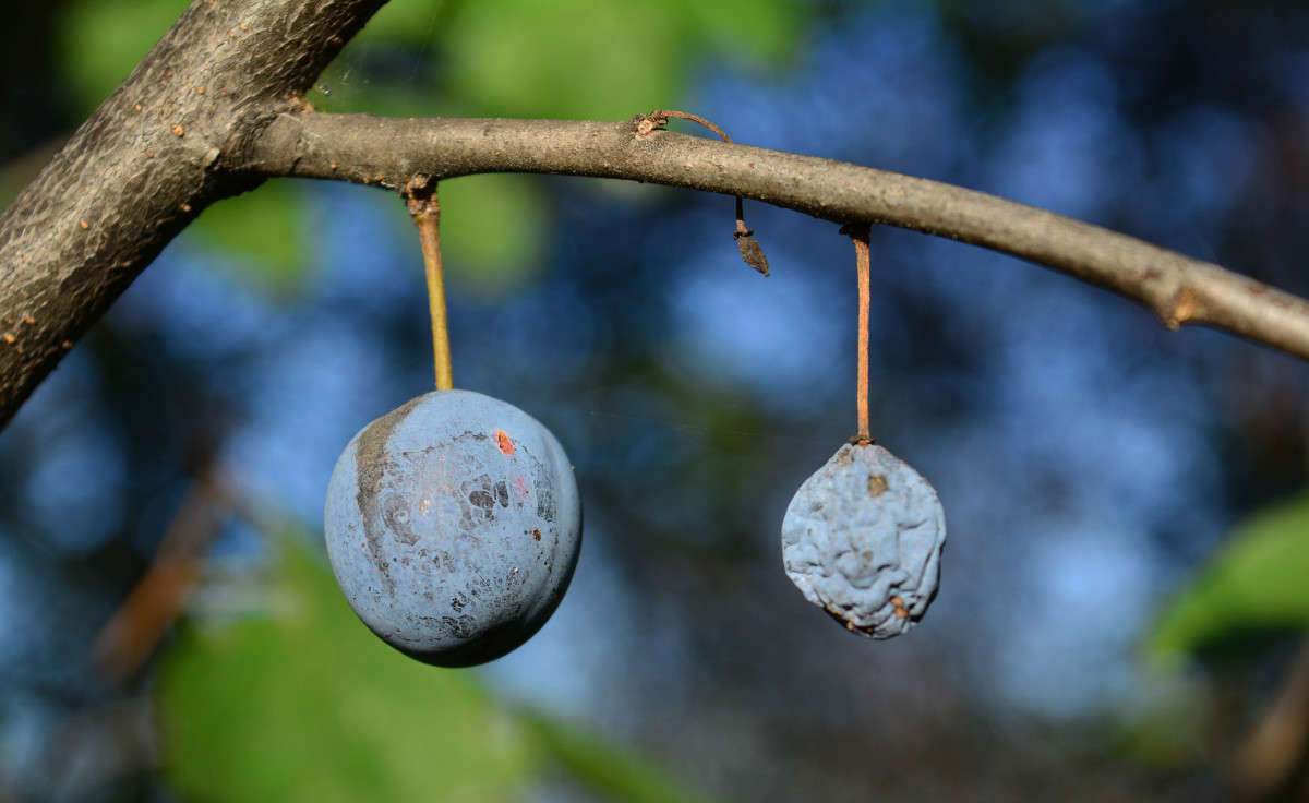 ������ � ����� ����� ����� ������� ������ �� PhotoGeek.ru #������ ��� �������