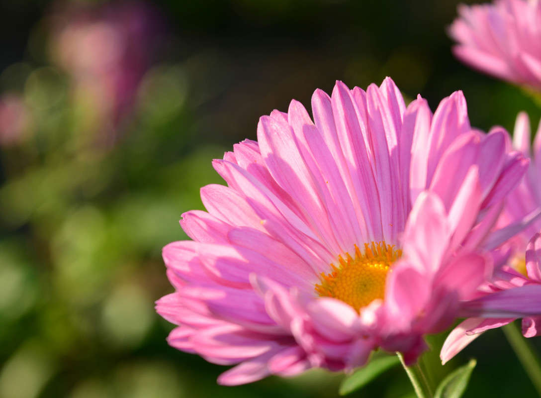 ���������� ����� ������� ������ �� PhotoGeek.ru #������ ��� �������