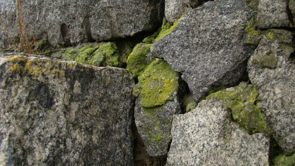 ... ����� ������� �������� �� PhotoGeek.ru #������ ��� �������