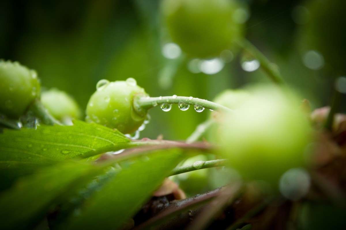 ... ����� ���� ������ �� PhotoGeek.ru #�����