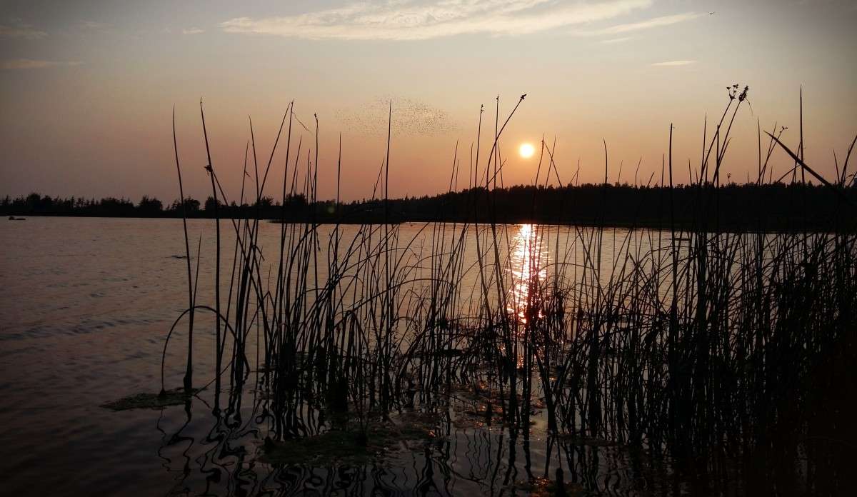 ����� ���� � �������� ���� ����� ����� ��������� �� PhotoGeek.ru #������ ��� �������