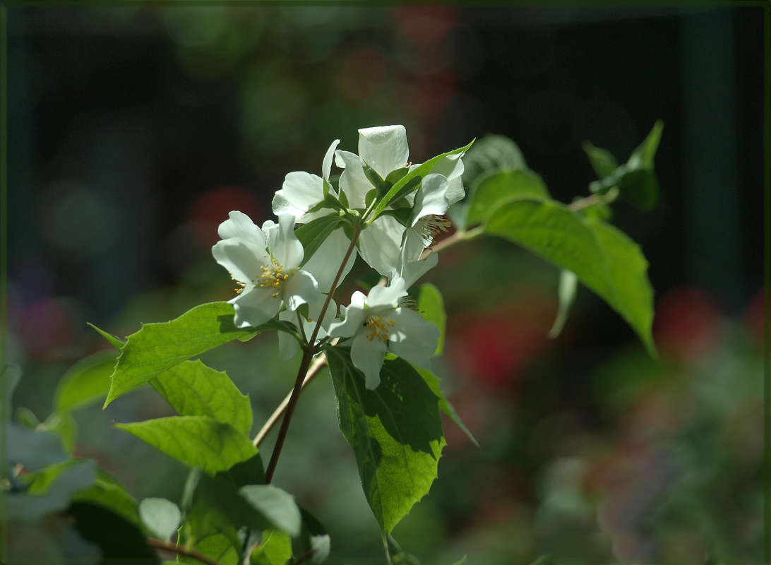 "������ ������ 2" ����� ������ ������ �� PhotoGeek.ru #������ ��� �������