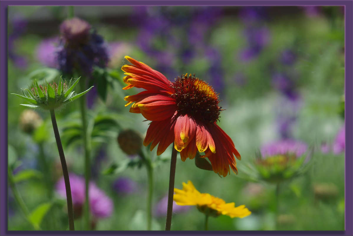 "������ ������" ����� ������ ������ �� PhotoGeek.ru #������ ��� �������