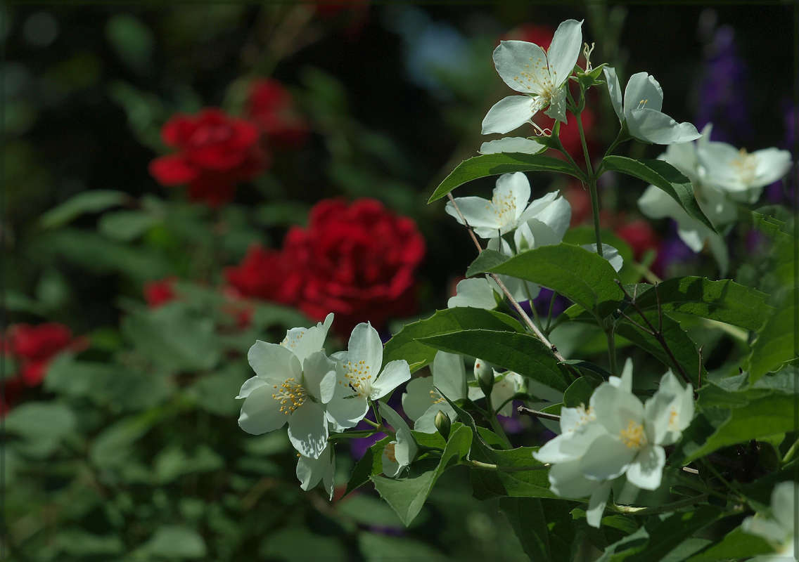 ������ ������ 3 ����� ������ ������ �� PhotoGeek.ru #������ ��� �������