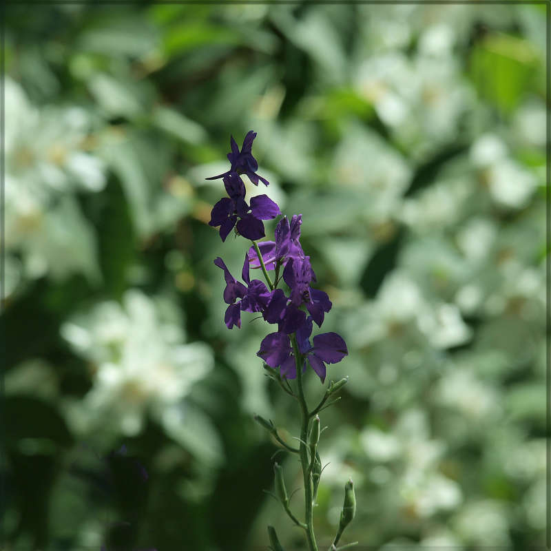 ������ ������ 2 ����� ������ ������ �� PhotoGeek.ru #������ ��� �������