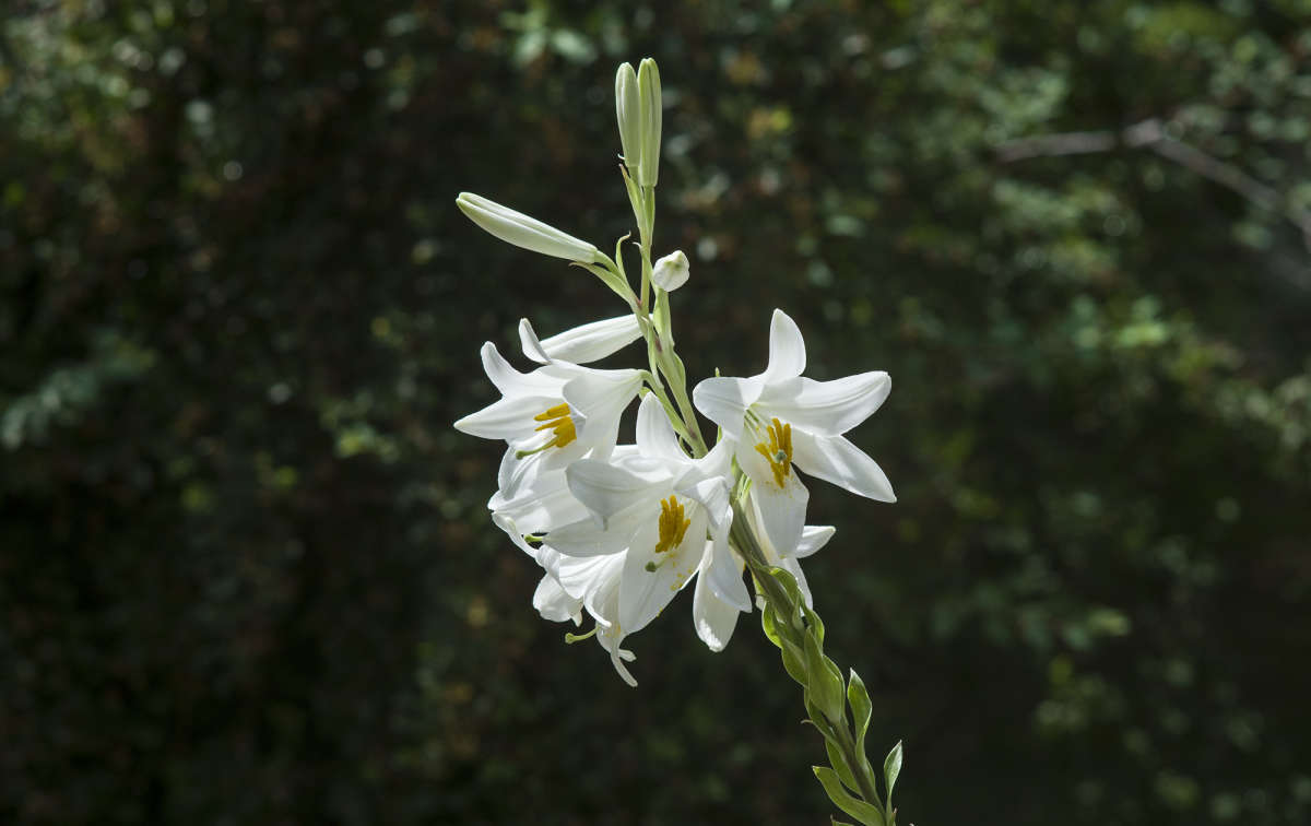 ����� ������ ����� ������ ������ �� PhotoGeek.ru #������ ��� �������