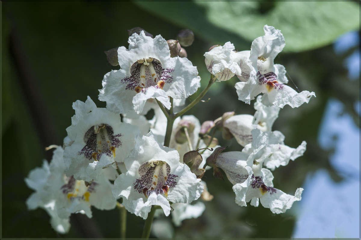 "����� ��������" ����� ������ ������ �� PhotoGeek.ru #������ ��� �������