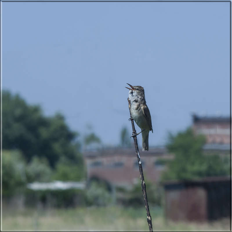 "�����������" ����� ������ ������ �� PhotoGeek.ru #�������� ���