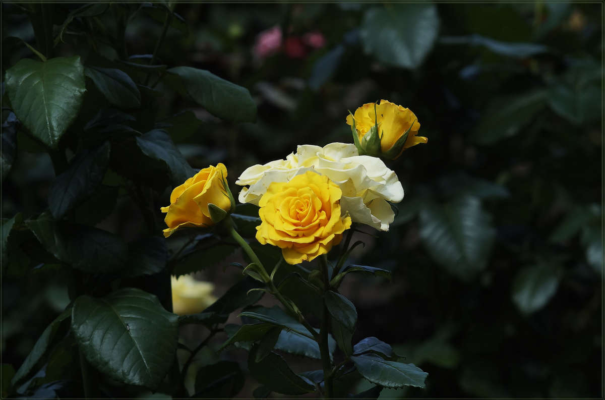 "��������" ����� ������ ������ �� PhotoGeek.ru #������ ��� �������