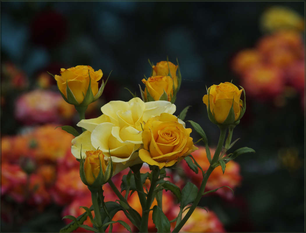 "���������� � ��������� �����������" ����� ������ ������ �� PhotoGeek.ru #������ ��� �������