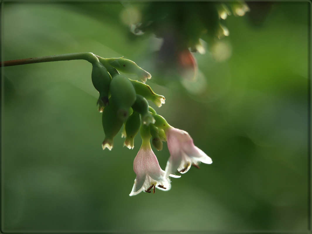 "�������� �� ��������" ����� ������ ������ �� PhotoGeek.ru #������ ��� �������