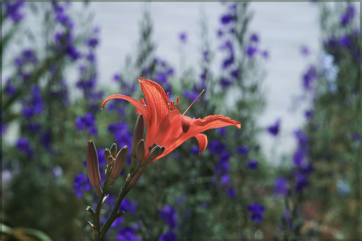 "����������" ����� ������ ������ �� PhotoGeek.ru #������ ��� �������