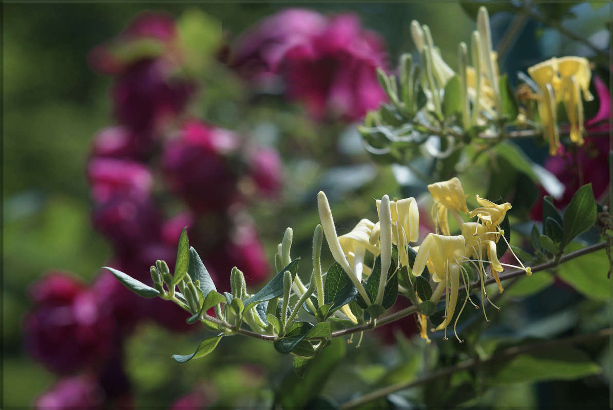 "������ �������" ����� ������ ������ �� PhotoGeek.ru #������ ��� �������