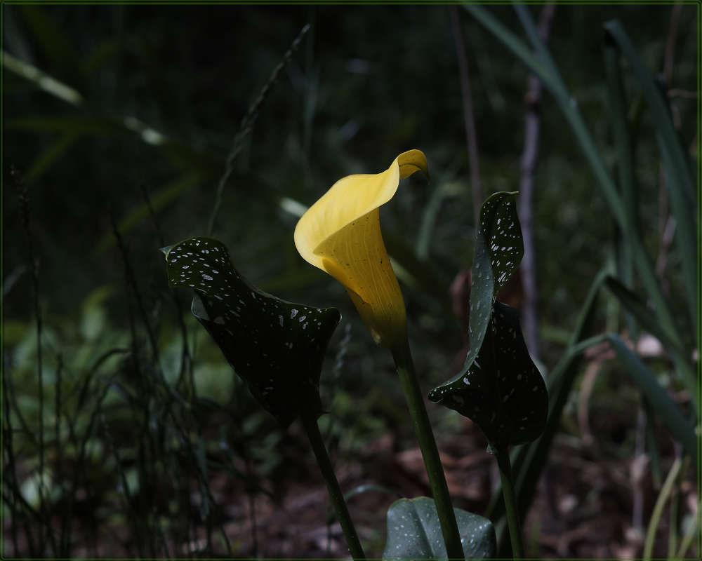 "��� ������� � ����" ����� ������ ������ �� PhotoGeek.ru #������ ��� �������