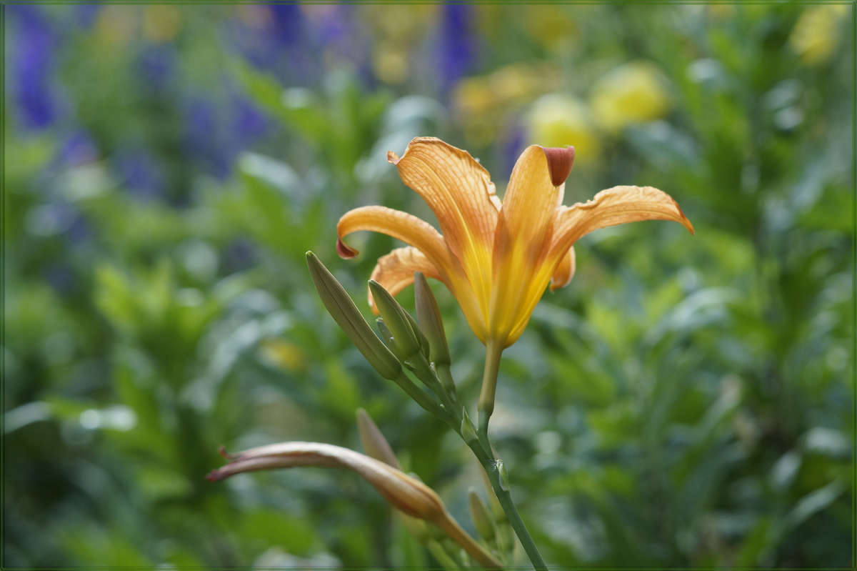 "��� ����������� �����" ����� ������ ������ �� PhotoGeek.ru #������ ��� �������