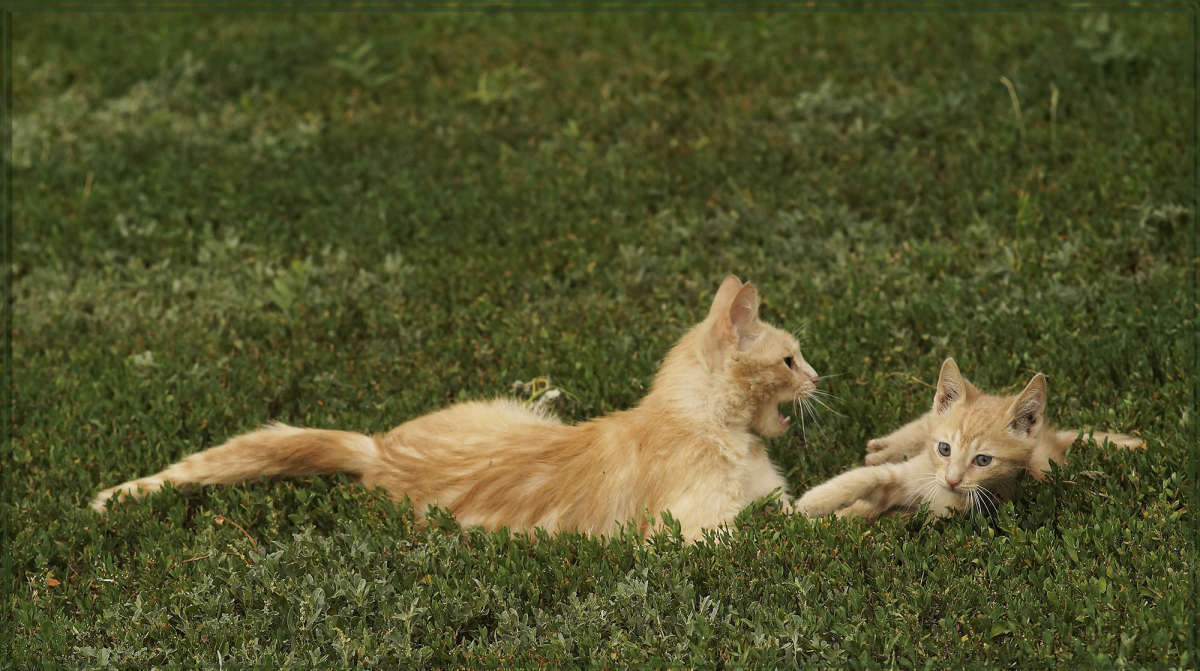 "���� � �������" ����� ������ ������ �� PhotoGeek.ru #�������� ���