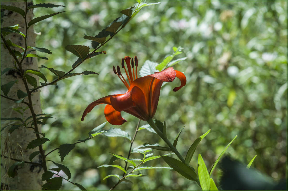 "����� ������� � ���������" ����� ������ ������ �� PhotoGeek.ru #������ ��� �������