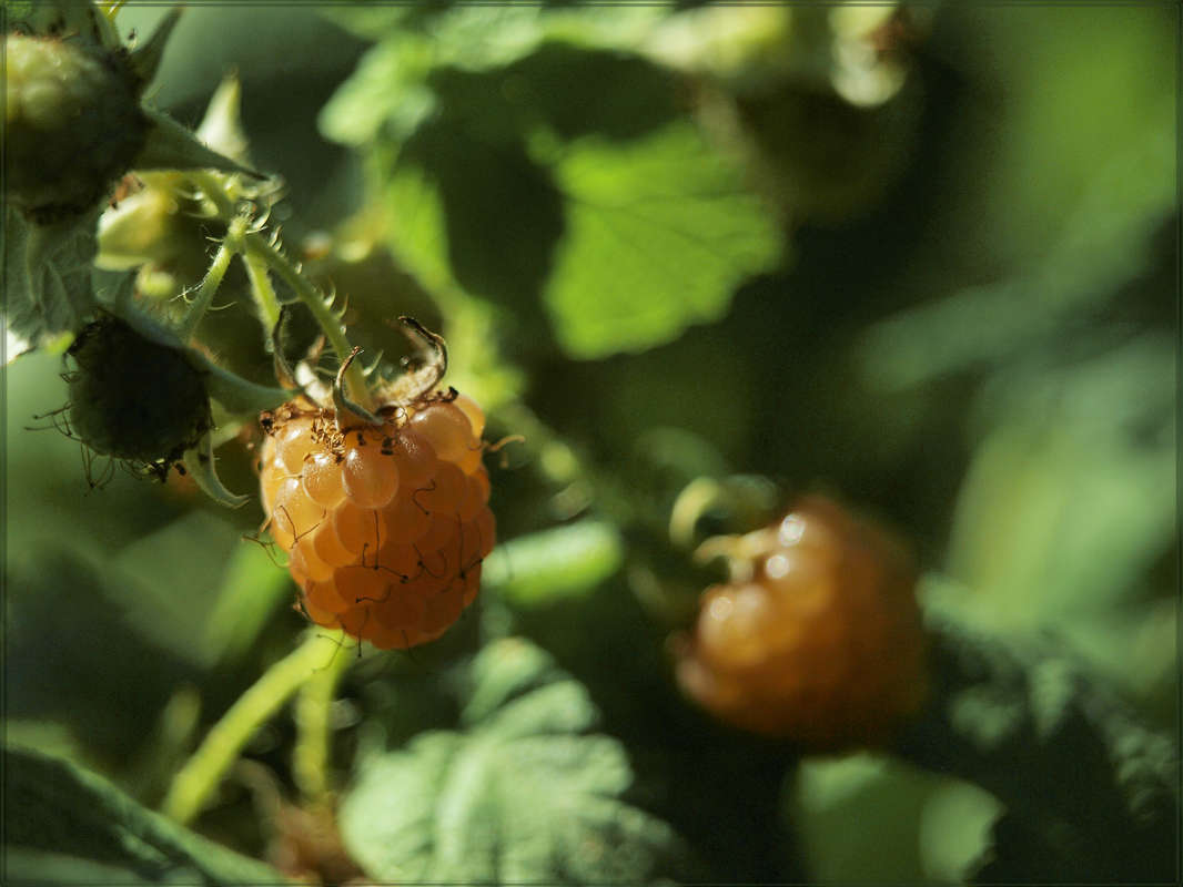 � ��� �������� ����� ������ ������ �� PhotoGeek.ru #������ ��� �������