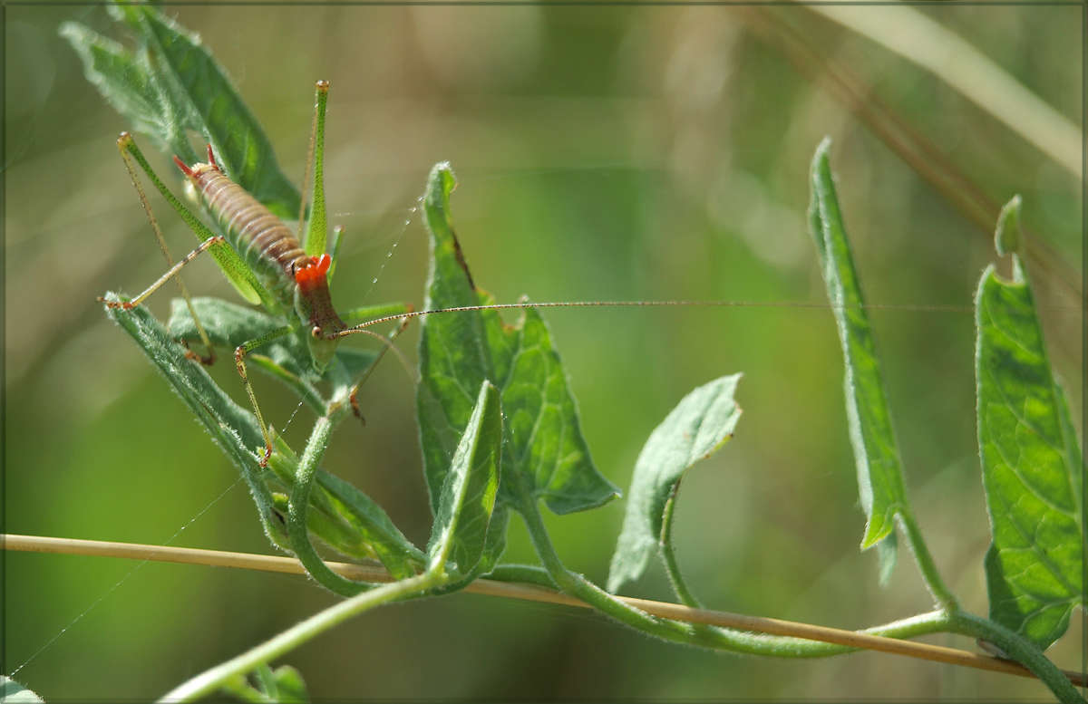 ���� ������ ����� ������ ������ �� PhotoGeek.ru #�������� ���
