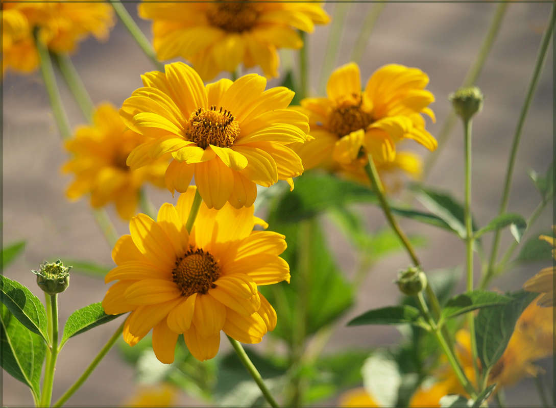 �������� �������� ����� ������ ������ �� PhotoGeek.ru #������ ��� �������