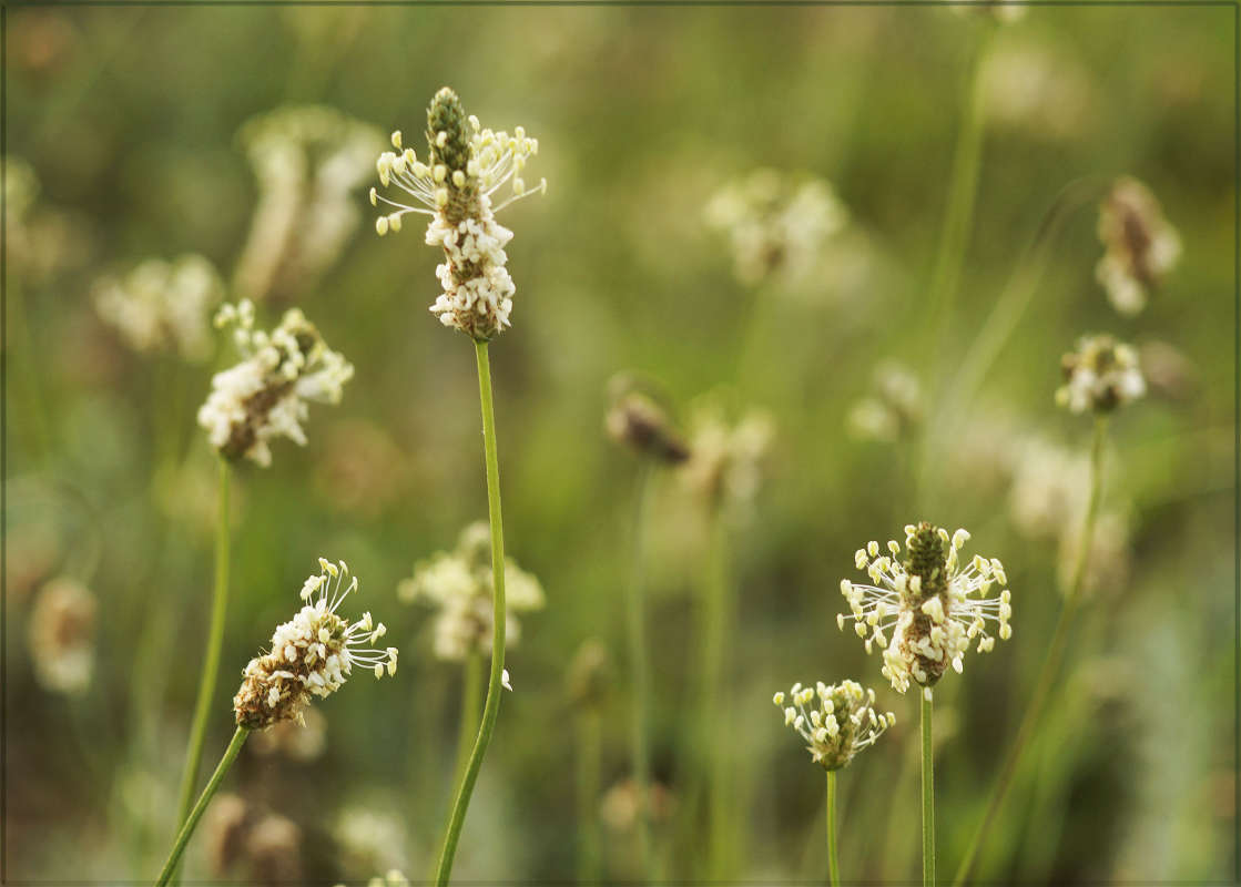 ����������� ����� ������ ������ �� PhotoGeek.ru #������ ��� �������