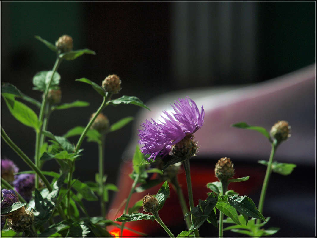 ����� � ������� ����� ������ ������ �� PhotoGeek.ru #������ ��� ������� #�������� ����������