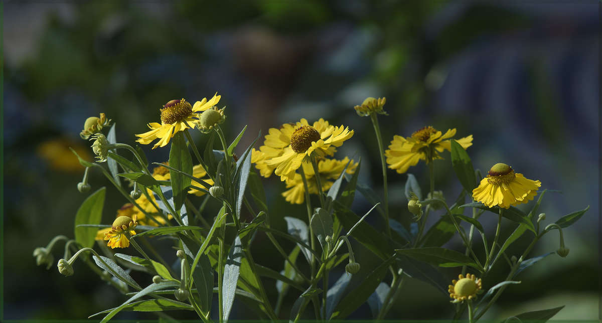 "������ ������" "������ ������ 2" ����� ������ ������ �� PhotoGeek.ru #������ ��� �������