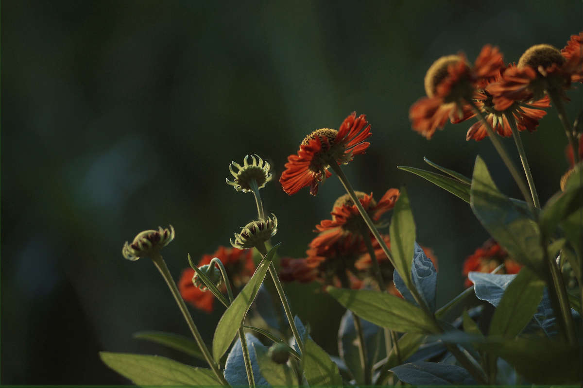 "������ ������" "������ ������ 2" ����� ������ ������ �� PhotoGeek.ru #������ ��� �������