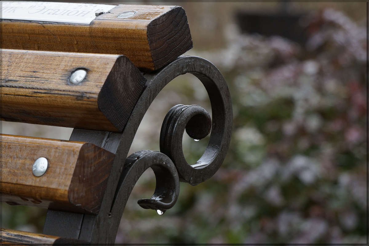 "�����������" ����� ������ ������ �� PhotoGeek.ru #�������� ����������