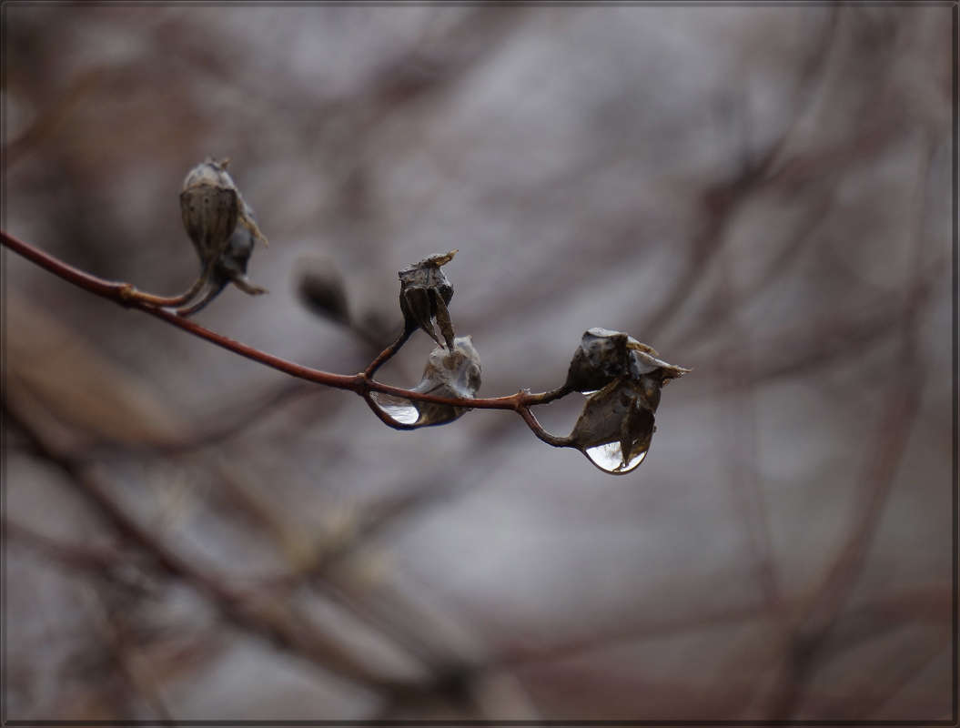 "����� ��������" ����� ������ ������ �� PhotoGeek.ru #������ ��� �������