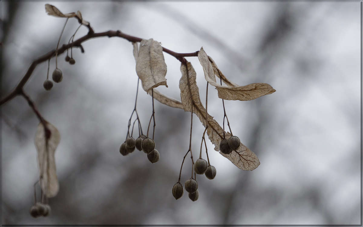 "����� �� �����" ����� ������ ������ �� PhotoGeek.ru #������ ��� �������