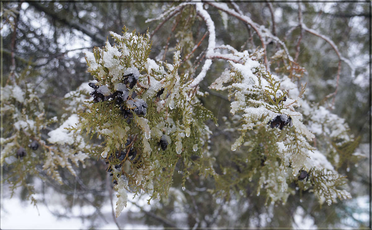 "���� � ����� ����� 2" ����� ������ ������ �� PhotoGeek.ru #������ ��� �������