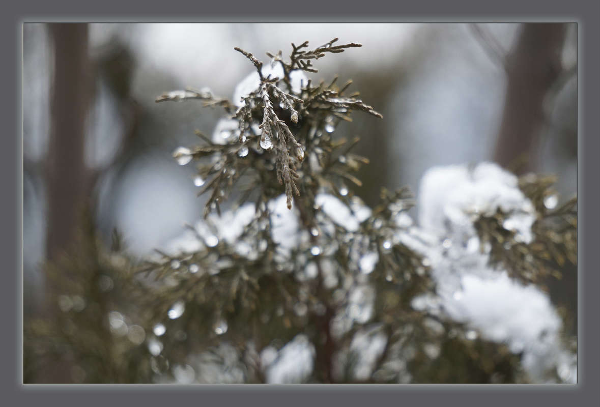 "����� ����� ������" ����� ������ ������ �� PhotoGeek.ru #������ ��� �������