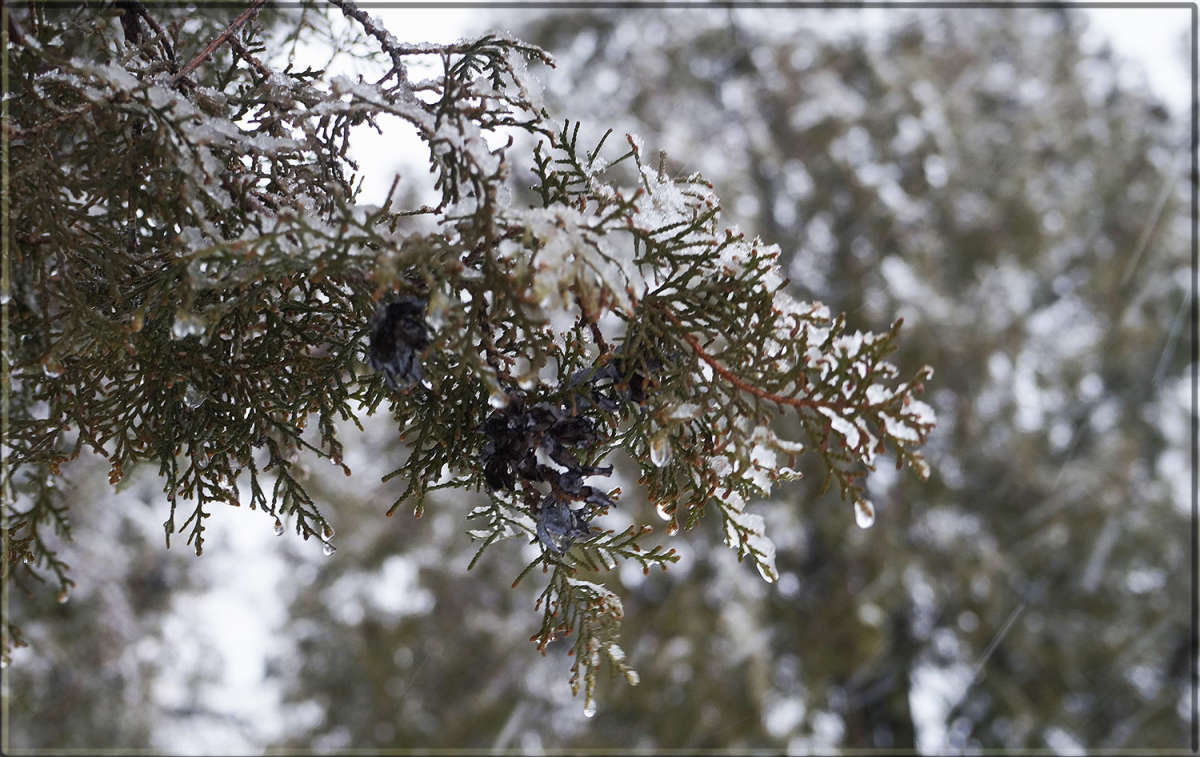 "���� � ����� ����� 4" ����� ������ ������ �� PhotoGeek.ru #������ ��� �������