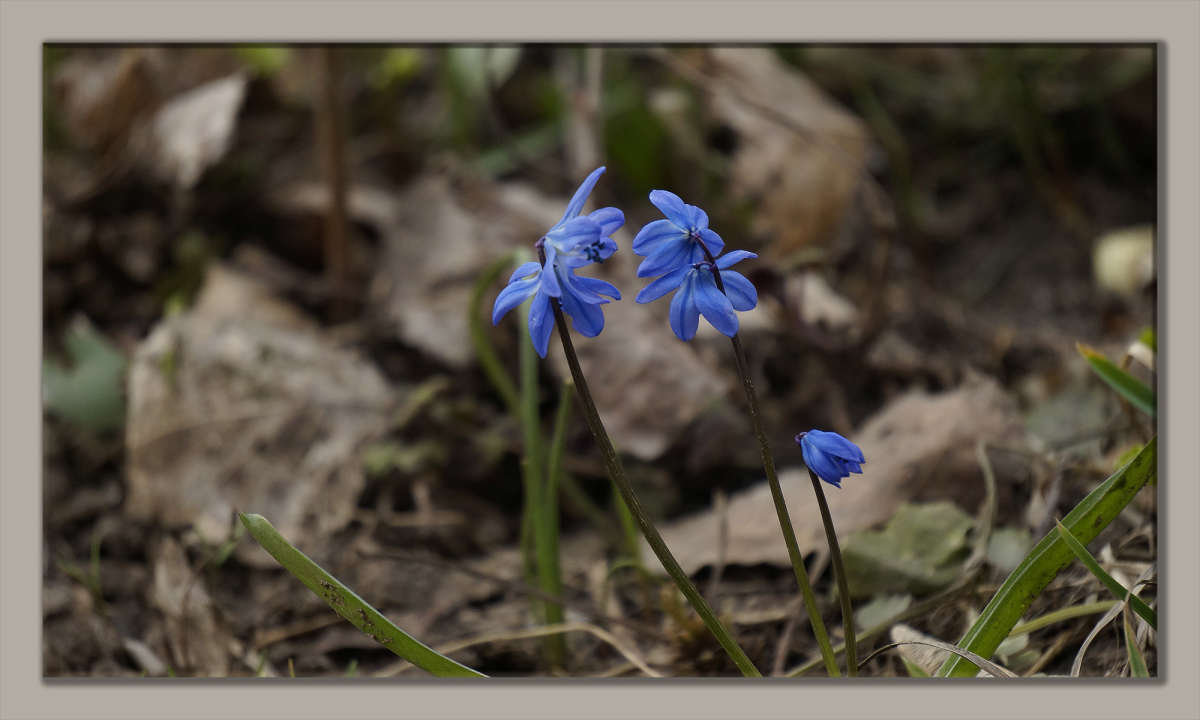 "�������� �������� 2" ����� ������ ������ �� PhotoGeek.ru #������ ��� �������