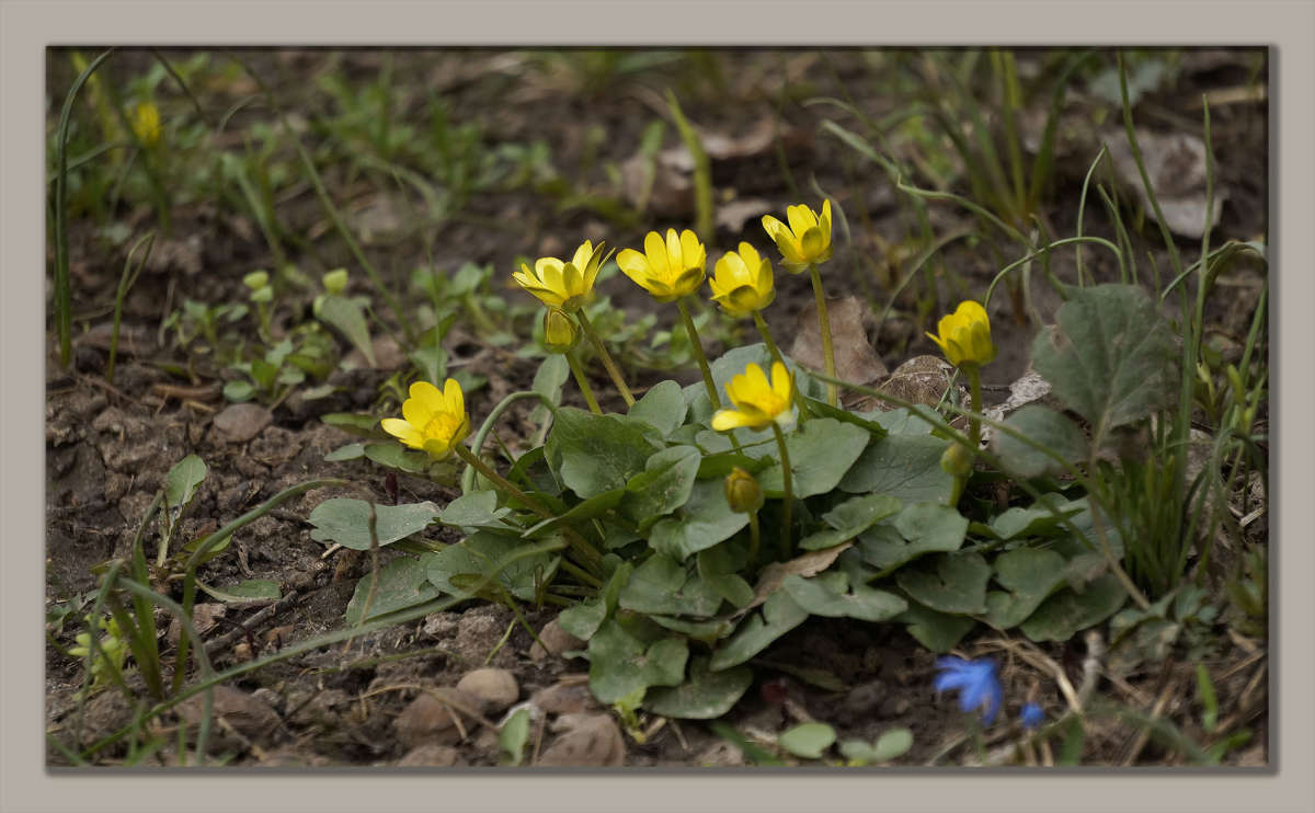 "�������� �������� 3" ����� ������ ������ �� PhotoGeek.ru #������ ��� �������