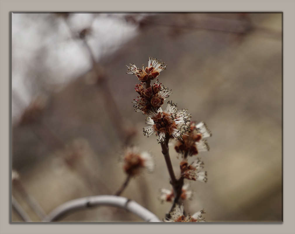 "�������� ��������" ����� ������ ������ �� PhotoGeek.ru #������ ��� �������