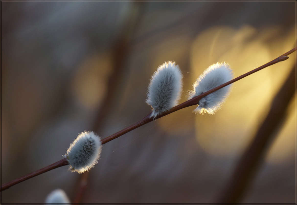 "�������� �������� 5" ����� ������ ������ �� PhotoGeek.ru #������ ��� �������