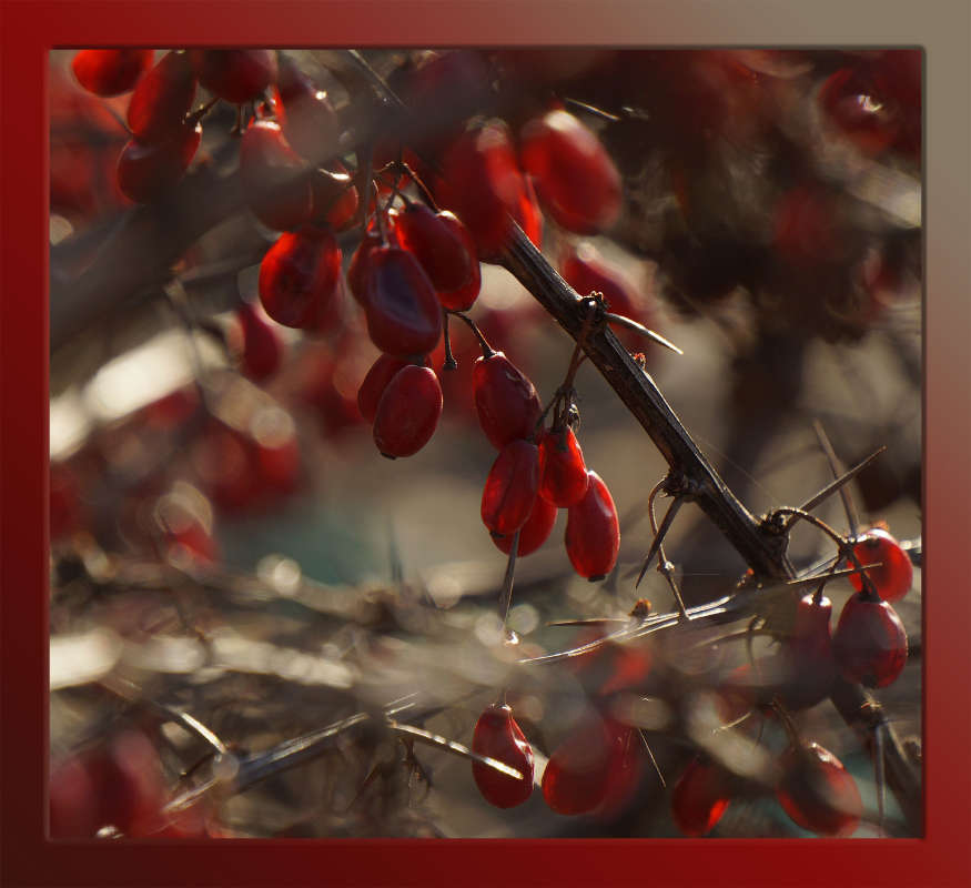 "����� ������������" ����� ������ ������ �� PhotoGeek.ru #������ ��� �������