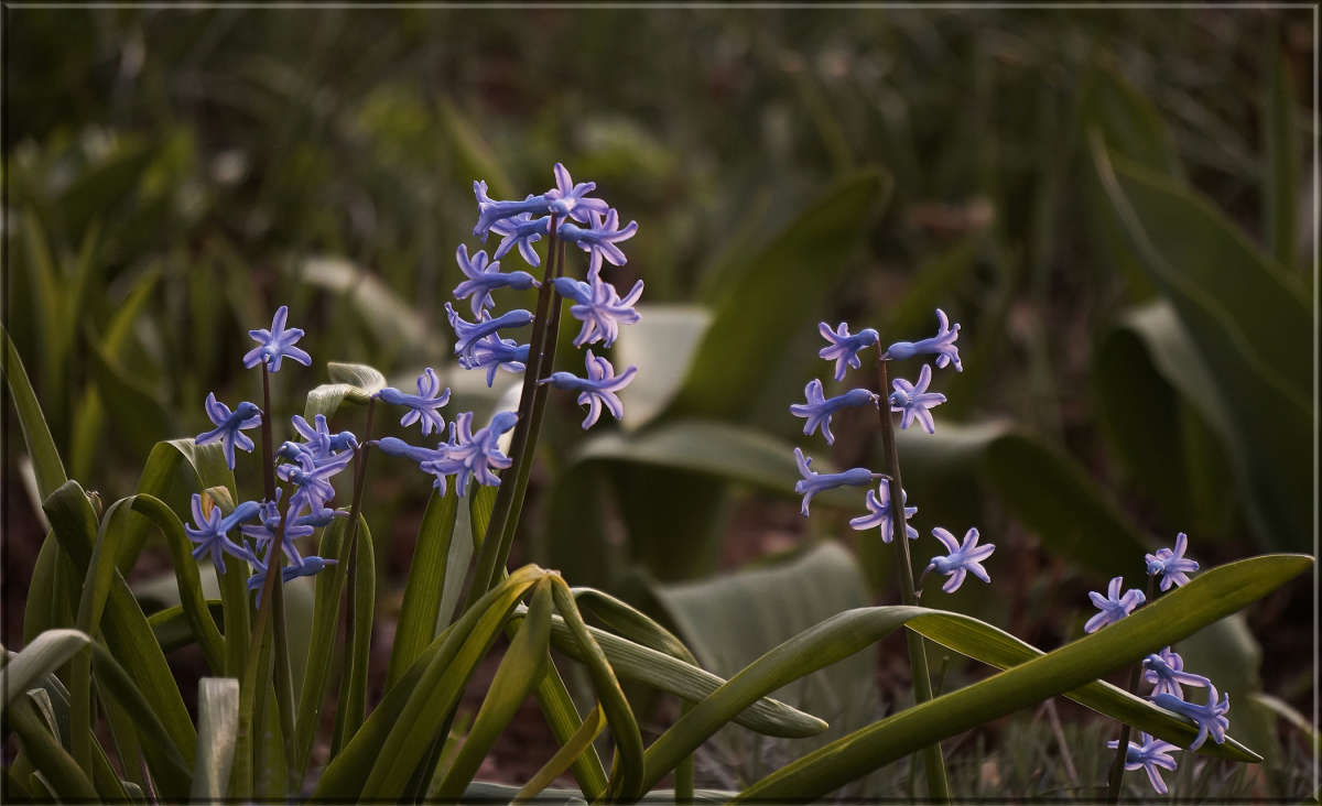 "���������" ����� ������ ������ �� PhotoGeek.ru #������ ��� �������