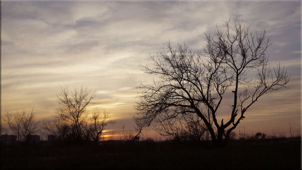 "������ ��������" ����� ������ ������ �� PhotoGeek.ru #������ ��� �������